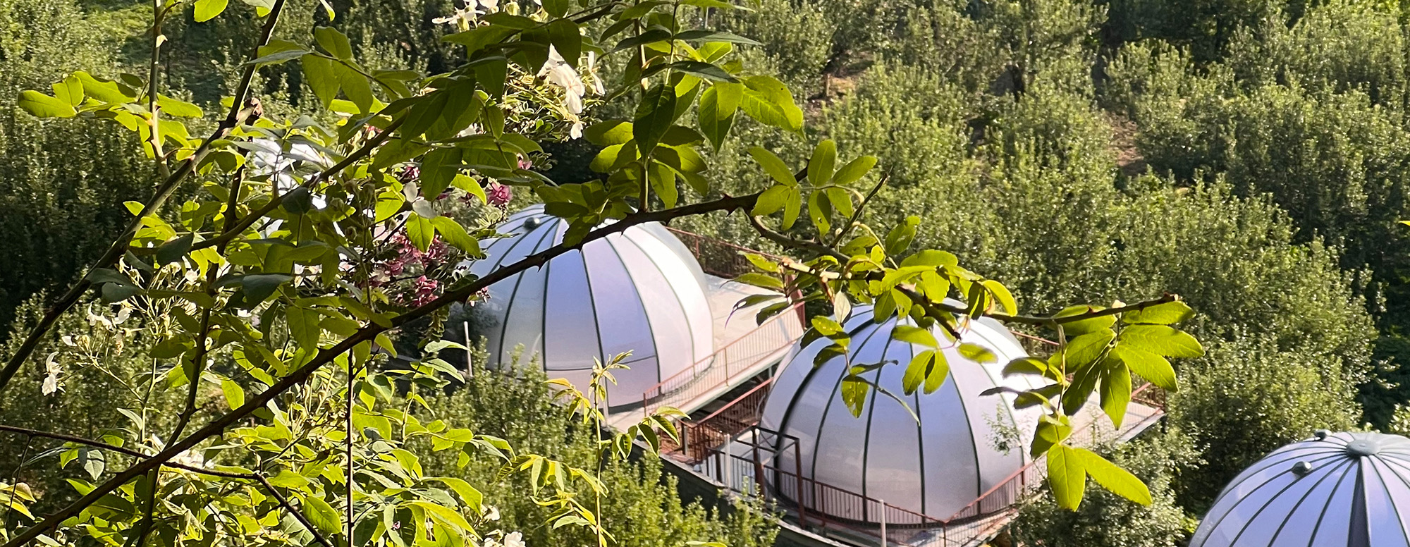 La Paraiso Resort & Spa